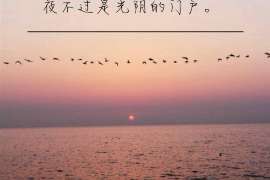 湘桥调查案例